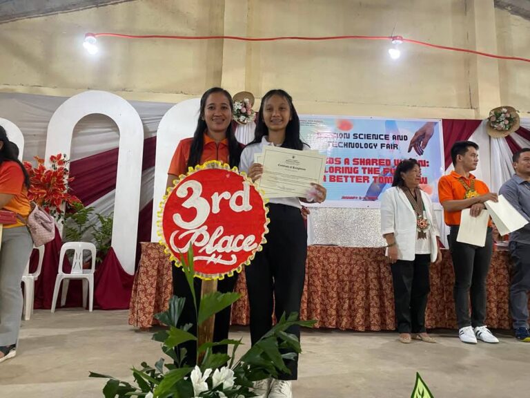 HIGH SCHOOL ASSISTANCE PROGRAM